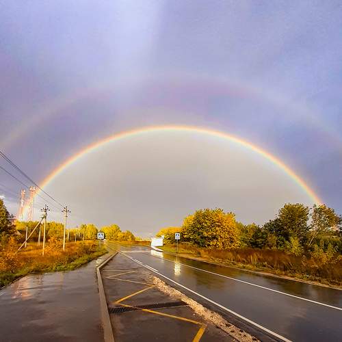 Photo #8094211