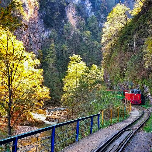 Photo #8094456