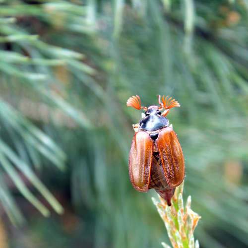 Photo #8095515