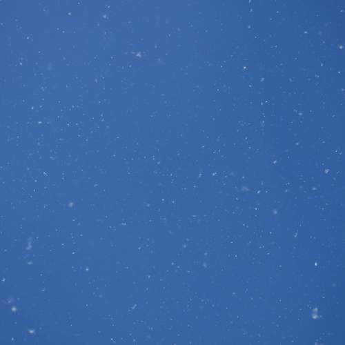 Photo #8096587