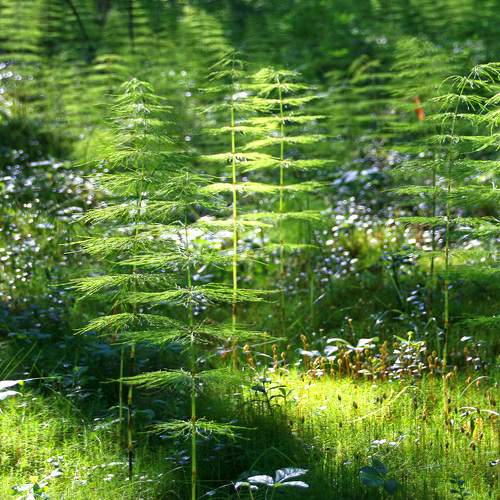 Photo #8096646