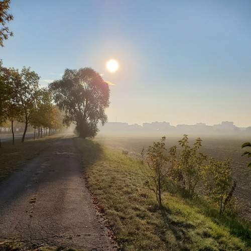Photo #8096703