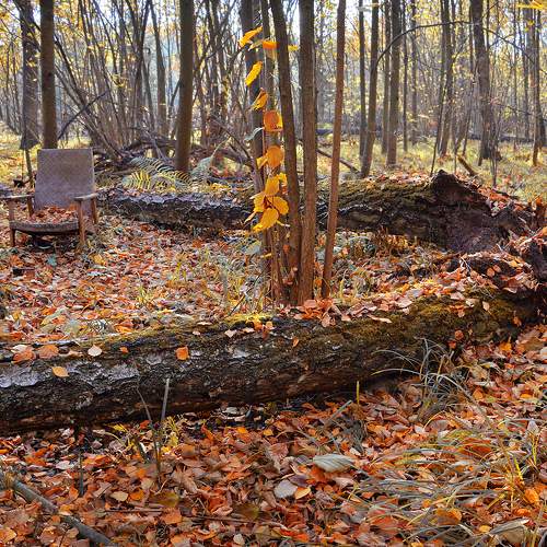 У лешего неприёмный день