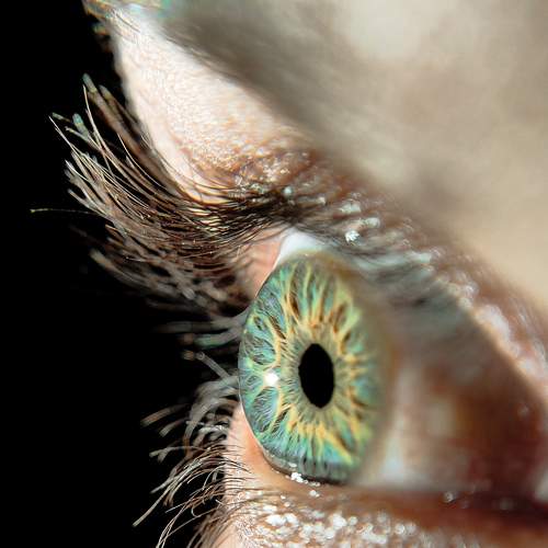 Photo #8096928