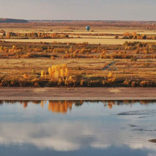 Photo #8097129