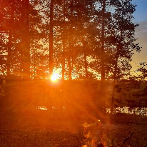 Photo #8097209