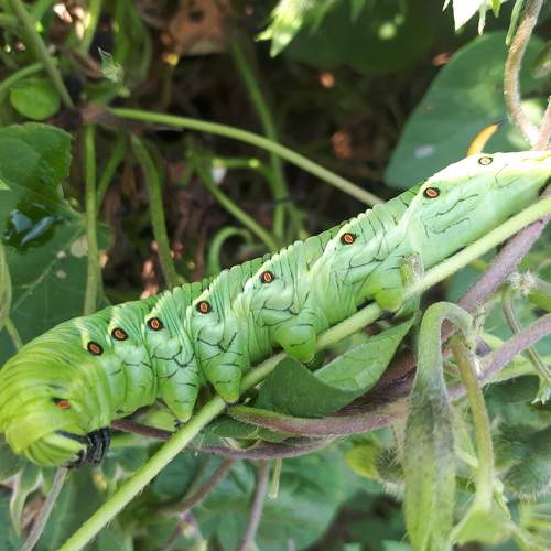 Photo #8097252