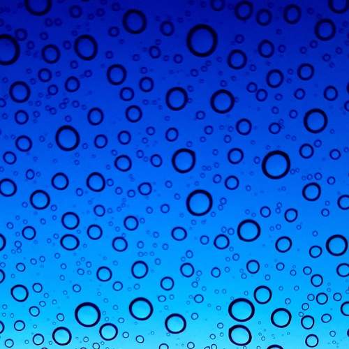 Photo #8097612