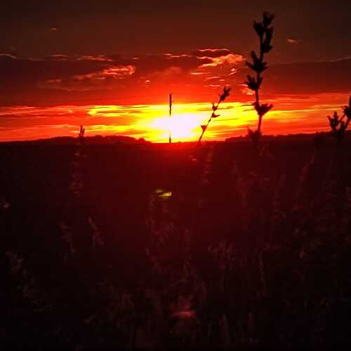 Photo #8097701