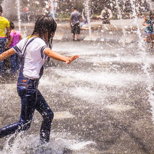 Photo #8097767