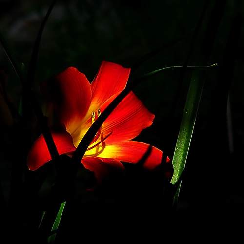 Photo #8097957