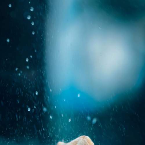 Photo #8098058