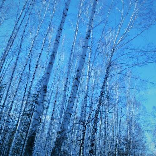 Photo #8099071