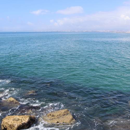 Photo #8099277