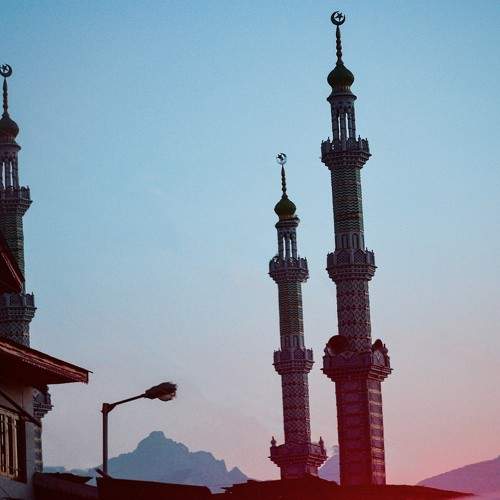 Photo #8099493