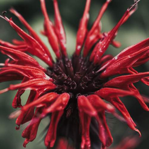 Photo #8099679