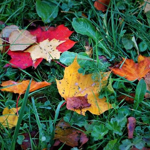 Photo #8099821