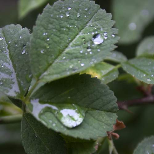 Photo #8100042