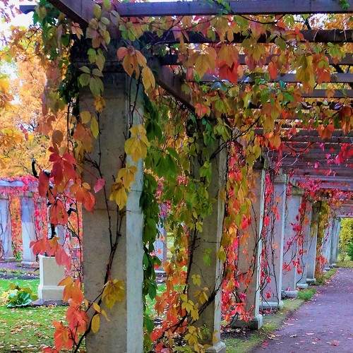 Photo #8100378