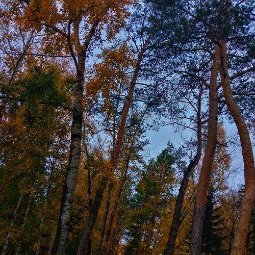 Photo #8100730
