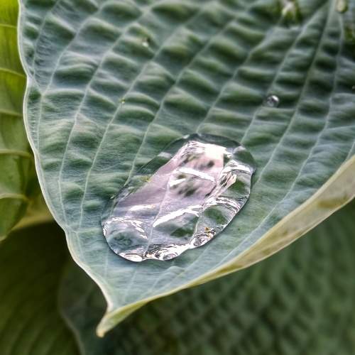 Photo #8101200