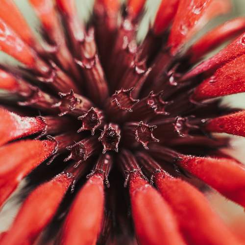 Photo #8101300