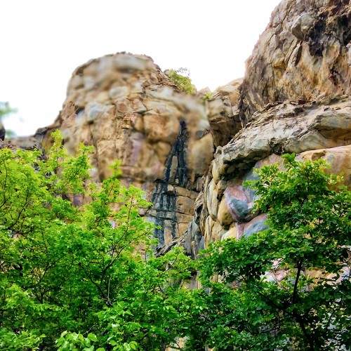 Photo #8101392