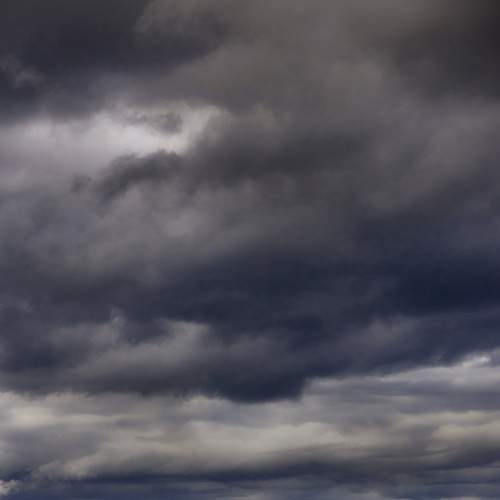 Photo #8101436