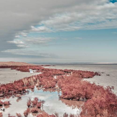 Photo #8101601