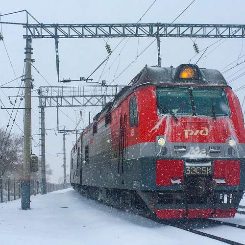 Photo #8102381