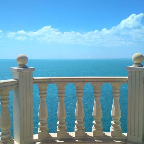 Photo #8102385