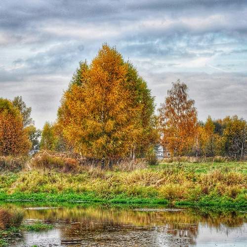 Photo #8102615