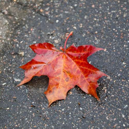 Photo #8102666