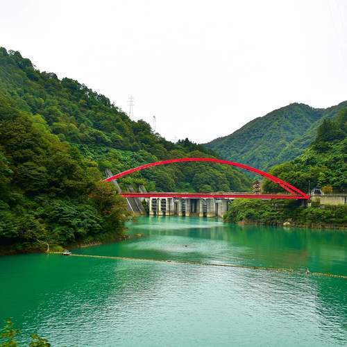 Photo #8102697