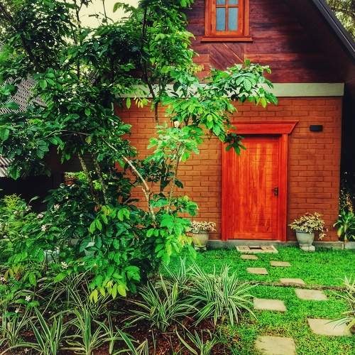 Photo #8103058