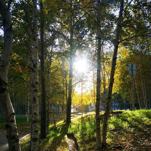 Photo #8103294