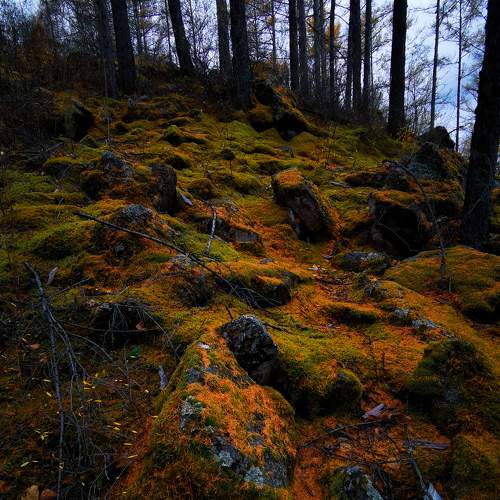Photo #8103296