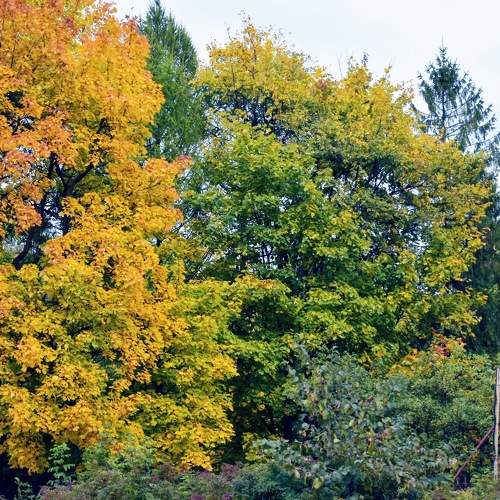 Photo #8103309