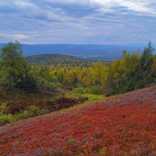 Photo #8103504