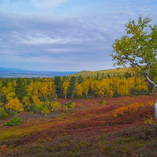 Photo #8103518