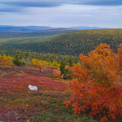 Photo #8103523