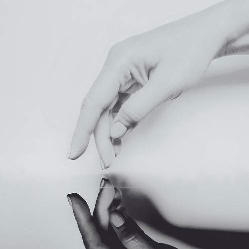 Photo #8103603