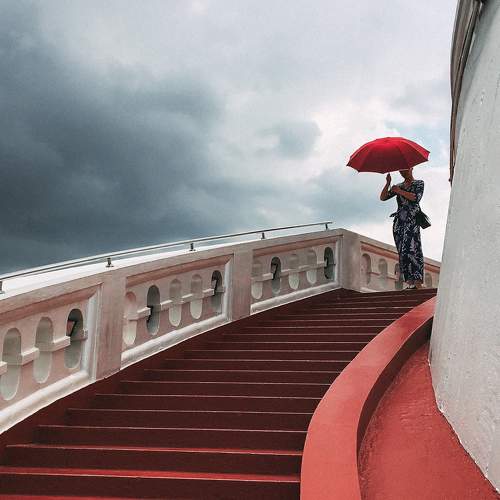 Photo #8103691