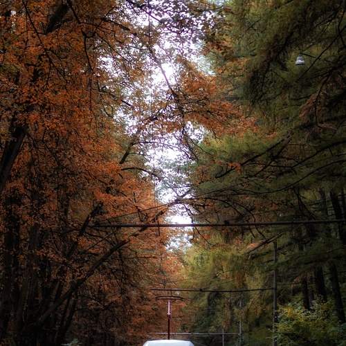 Photo #8103996