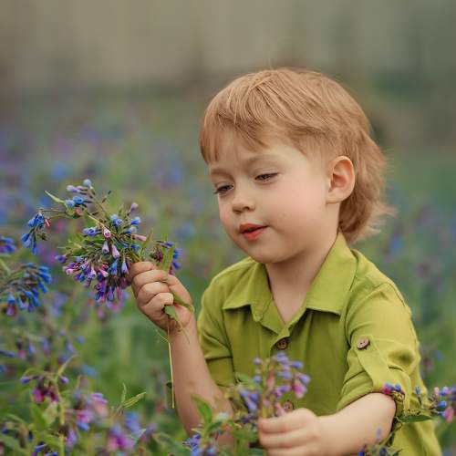 Photo #8104329