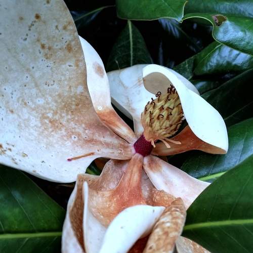 Photo #8104789