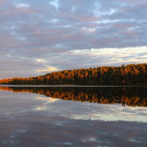 Photo #8104848