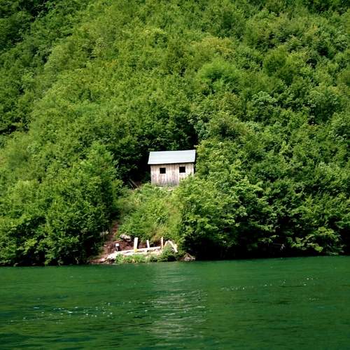 Photo #8104965