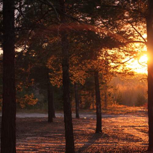 Photo #8105404