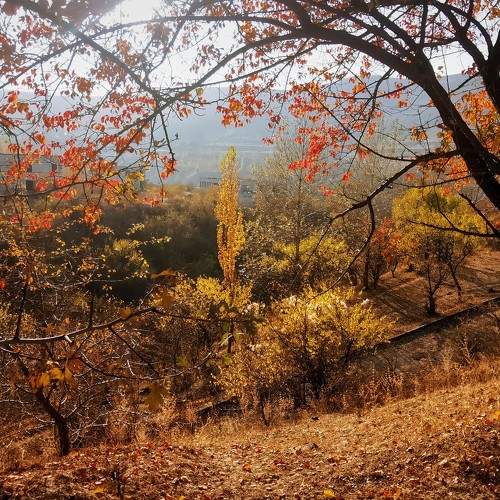 Photo #8105405